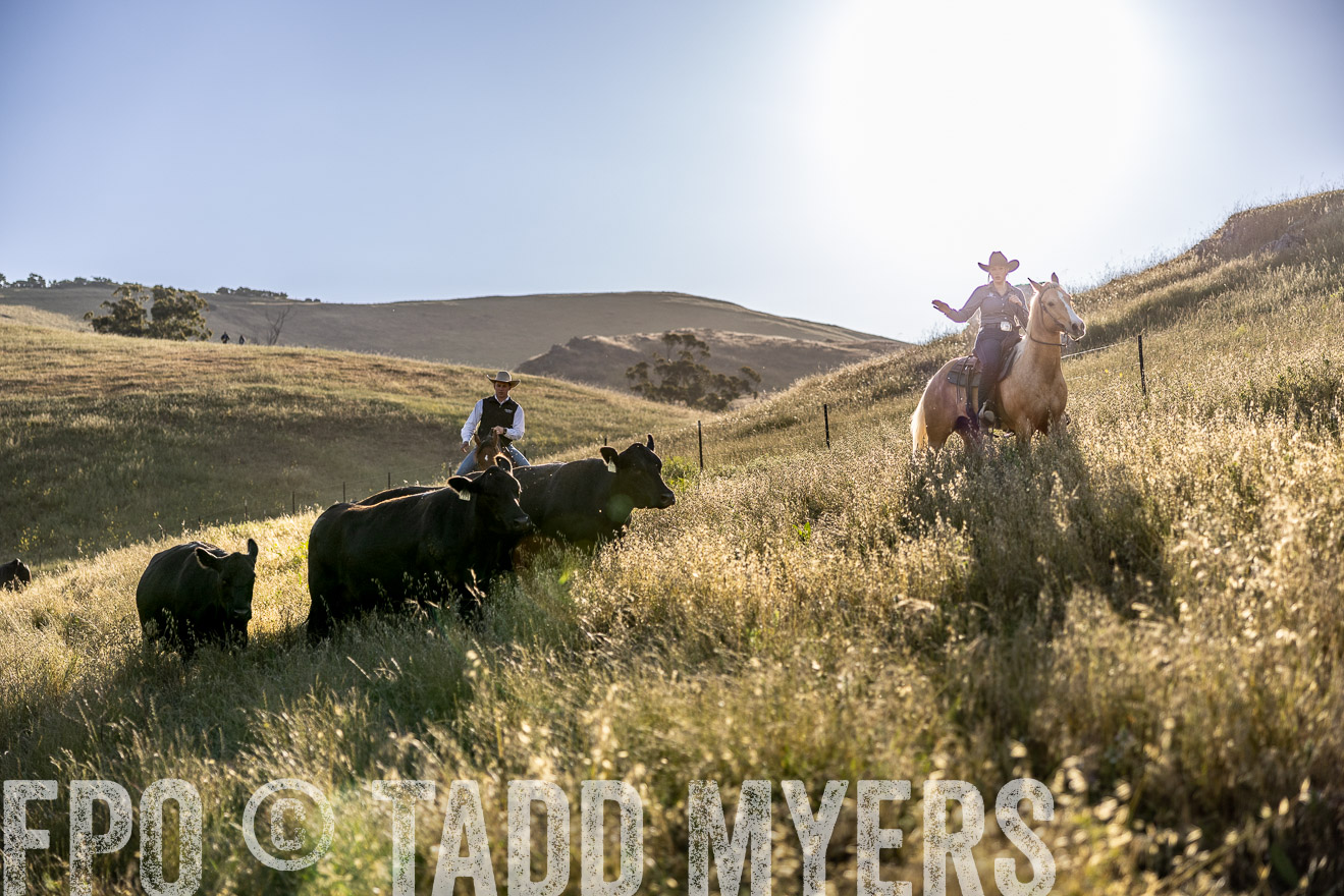 TMyers_CalPoly_CA_May2023-527733