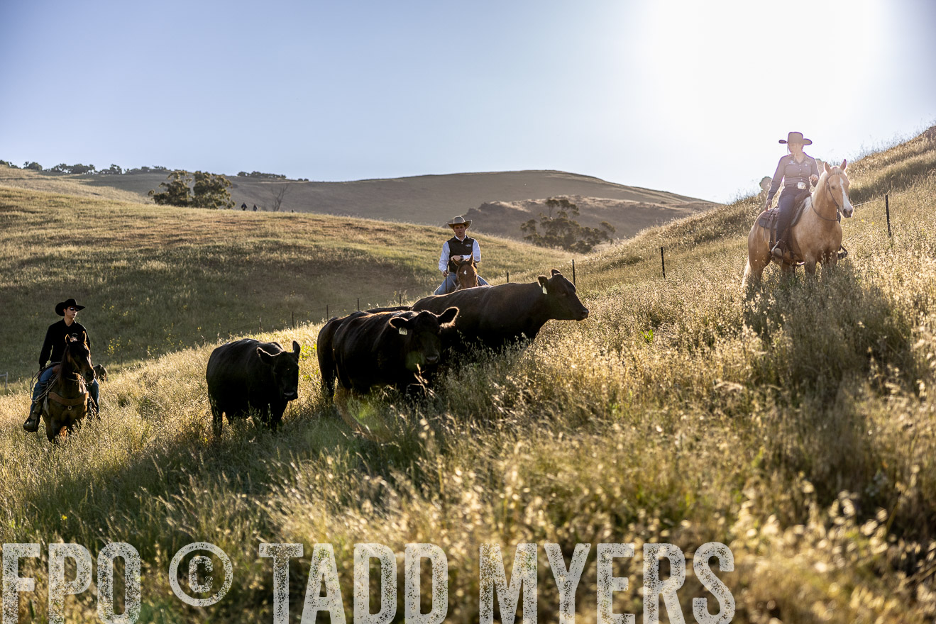 TMyers_CalPoly_CA_May2023-527738