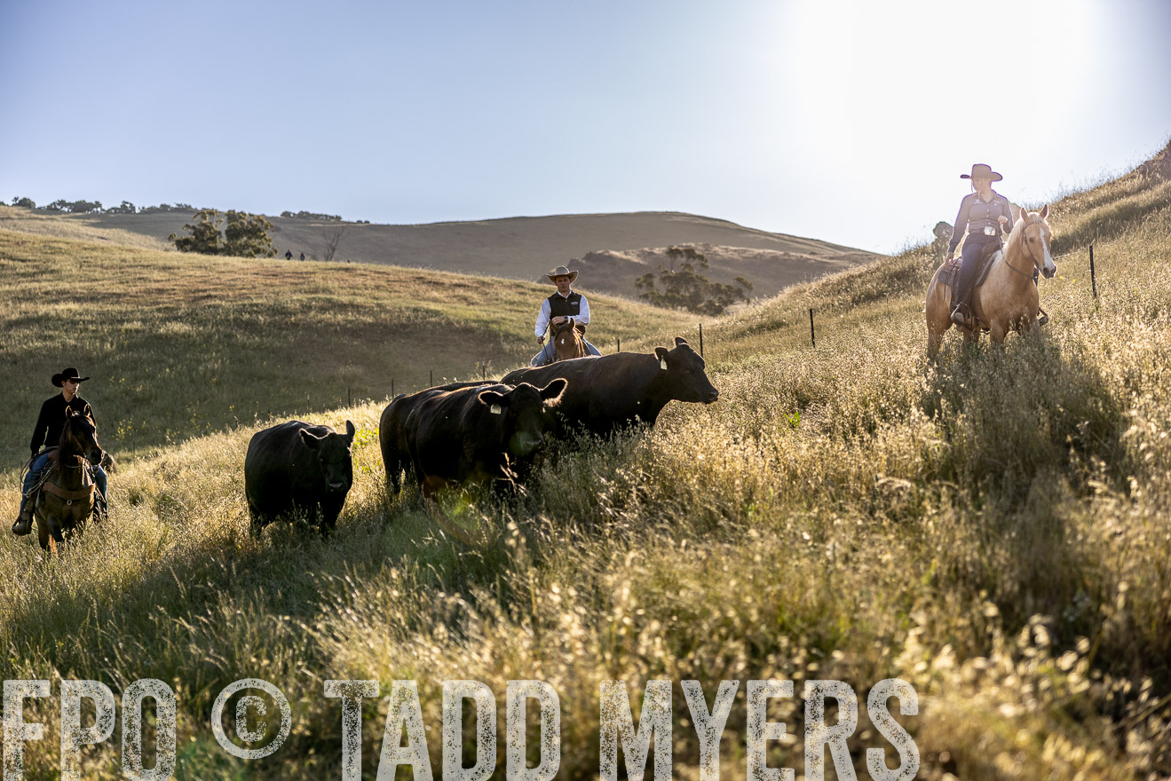 TMyers_CalPoly_CA_May2023-527741