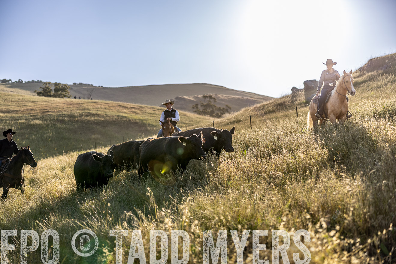 TMyers_CalPoly_CA_May2023-527745