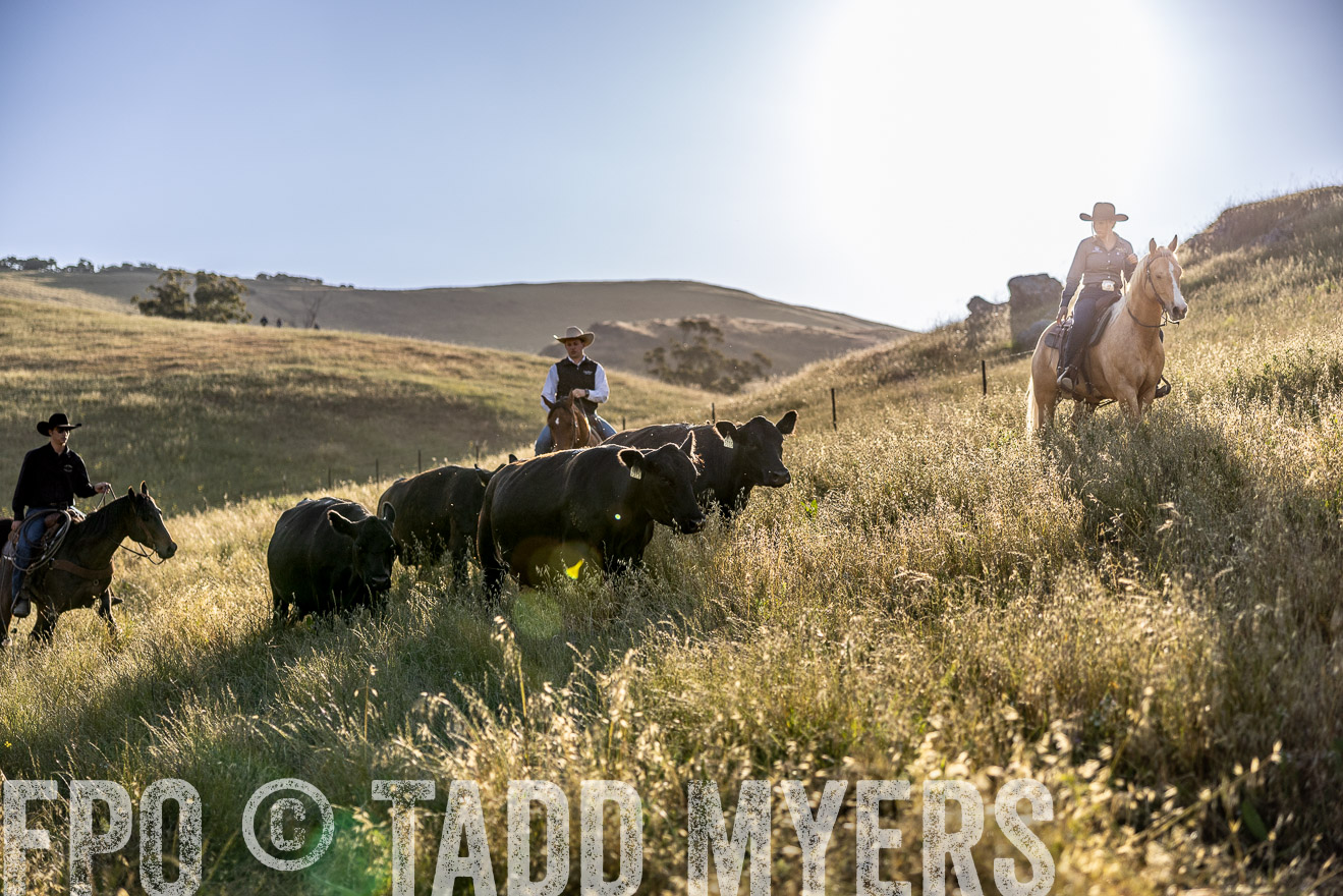 TMyers_CalPoly_CA_May2023-527749