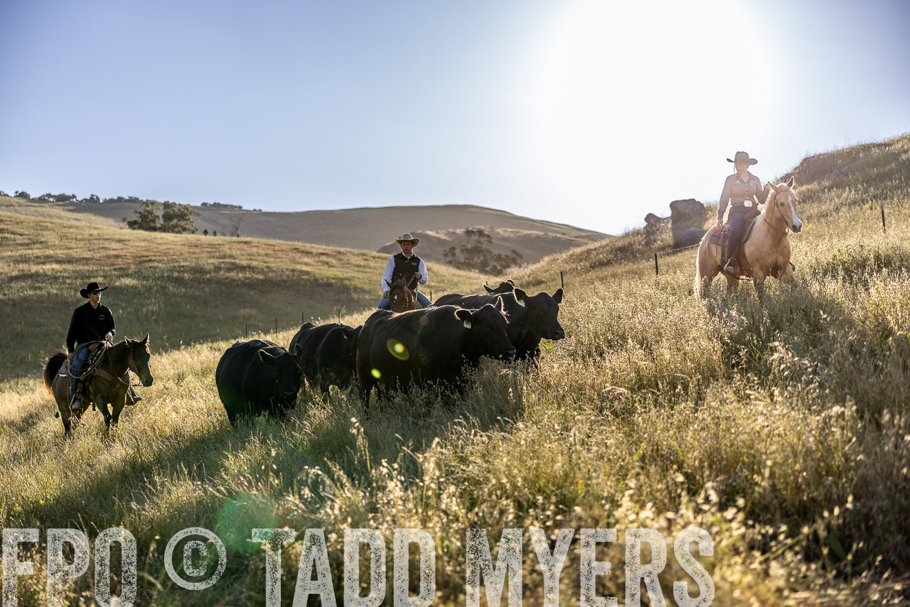 TMyers_CalPoly_CA_May2023-527754