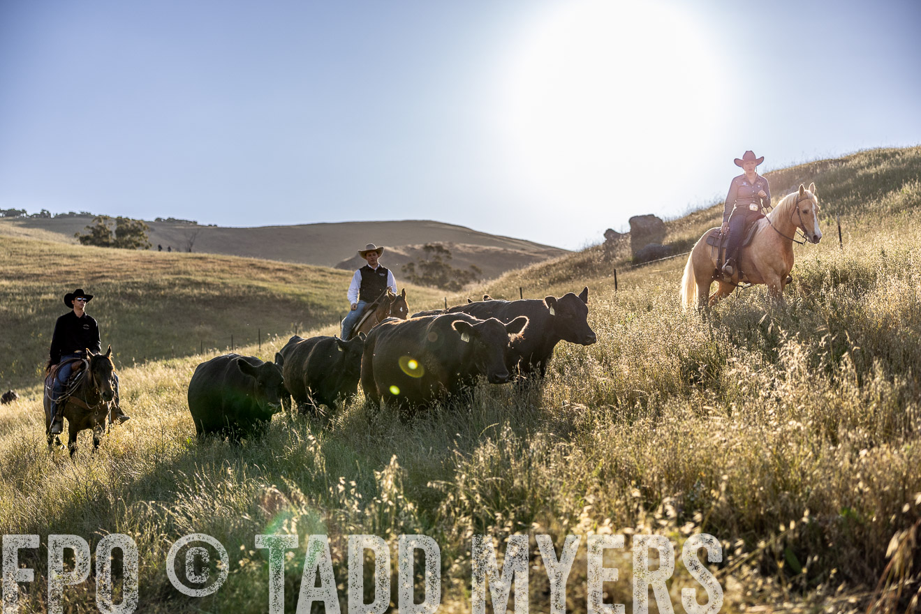 TMyers_CalPoly_CA_May2023-527767