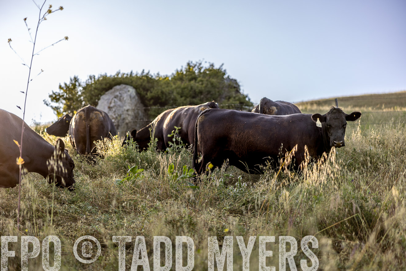 TMyers_CalPoly_CA_May2023-527946