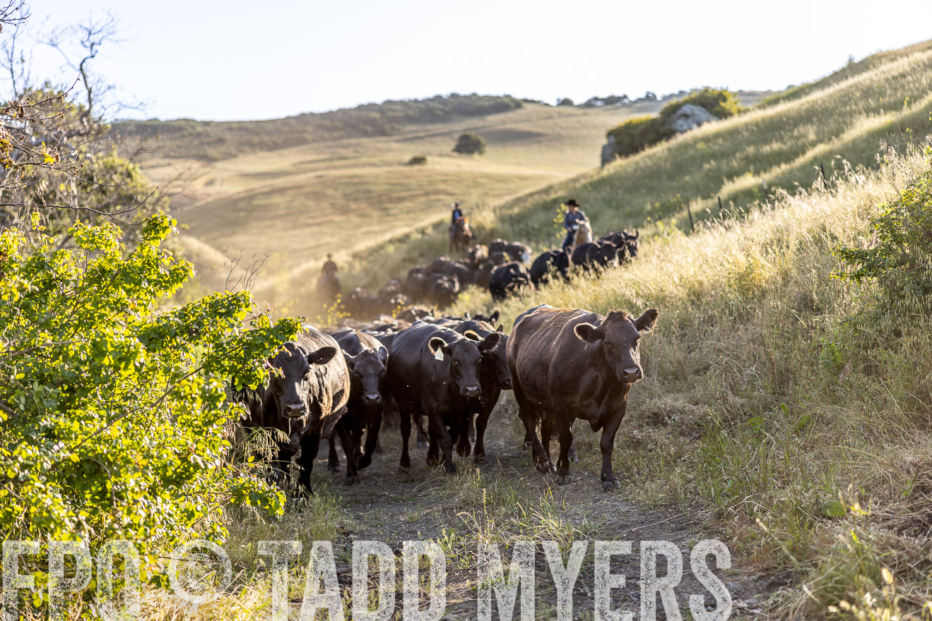 TMyers_CalPoly_CA_May2023-528040