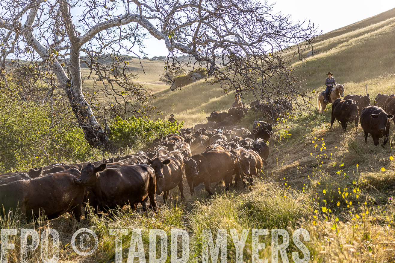 TMyers_CalPoly_CA_May2023-528130