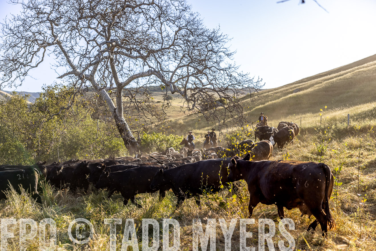 TMyers_CalPoly_CA_May2023-528211