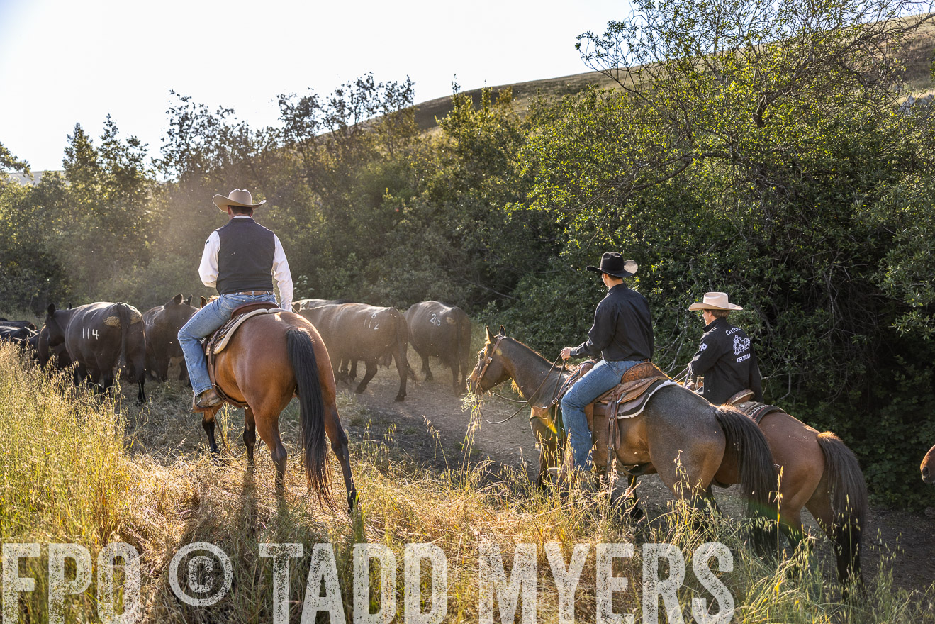 TMyers_CalPoly_CA_May2023-528626