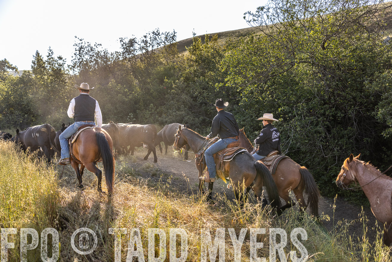 TMyers_CalPoly_CA_May2023-528630