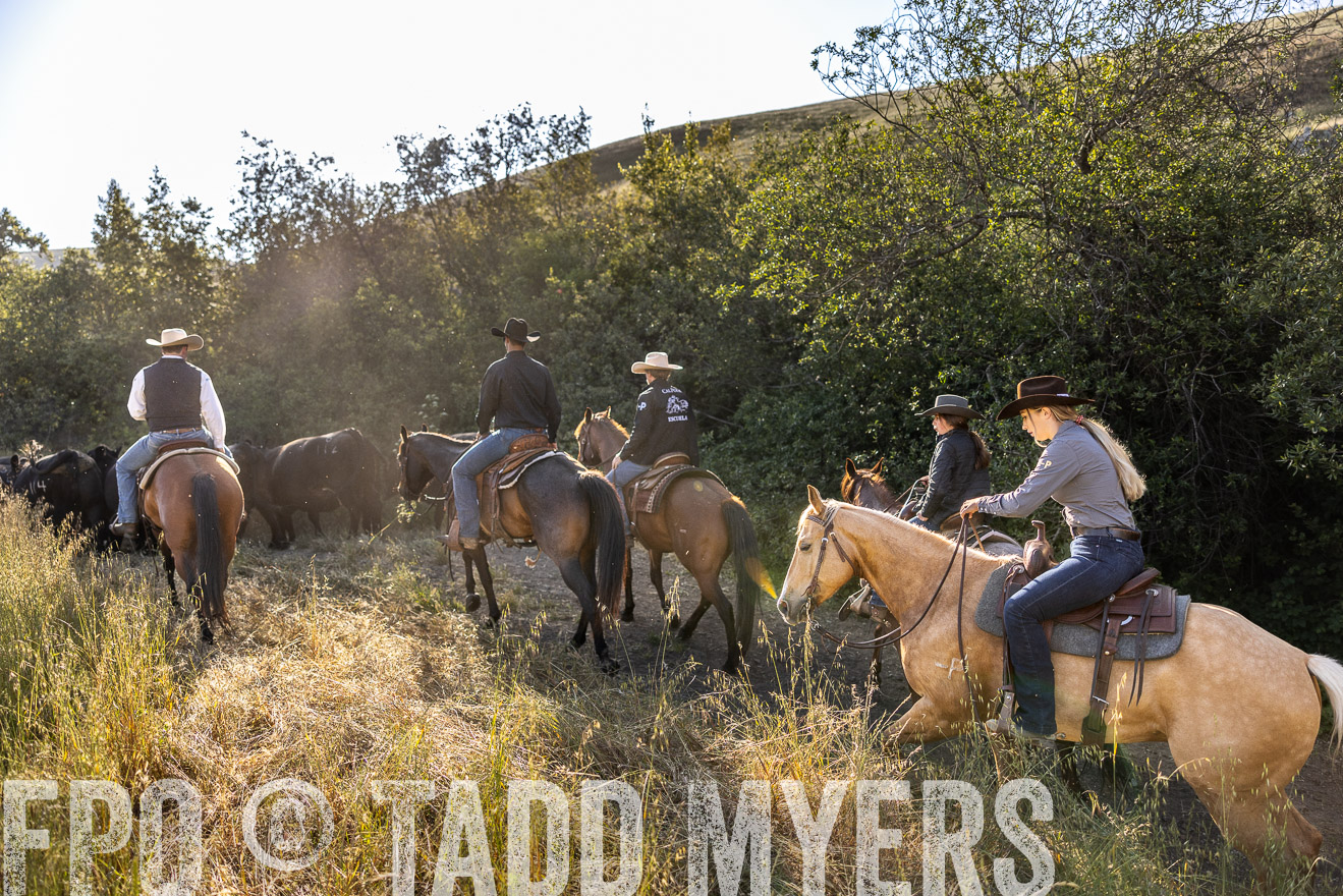 TMyers_CalPoly_CA_May2023-528637
