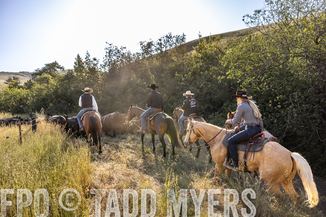 TMyers_CalPoly_CA_May2023-528641