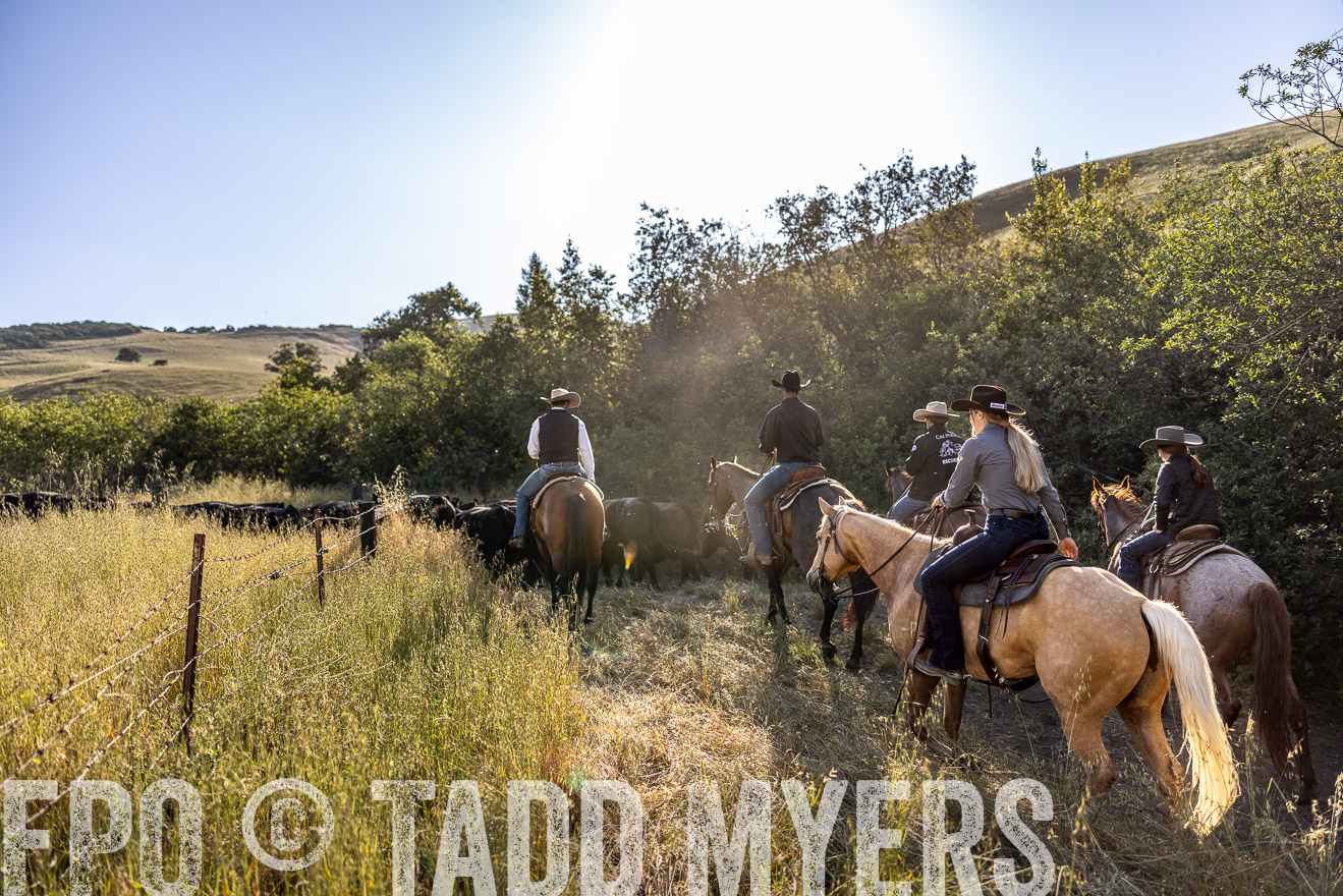 TMyers_CalPoly_CA_May2023-528644