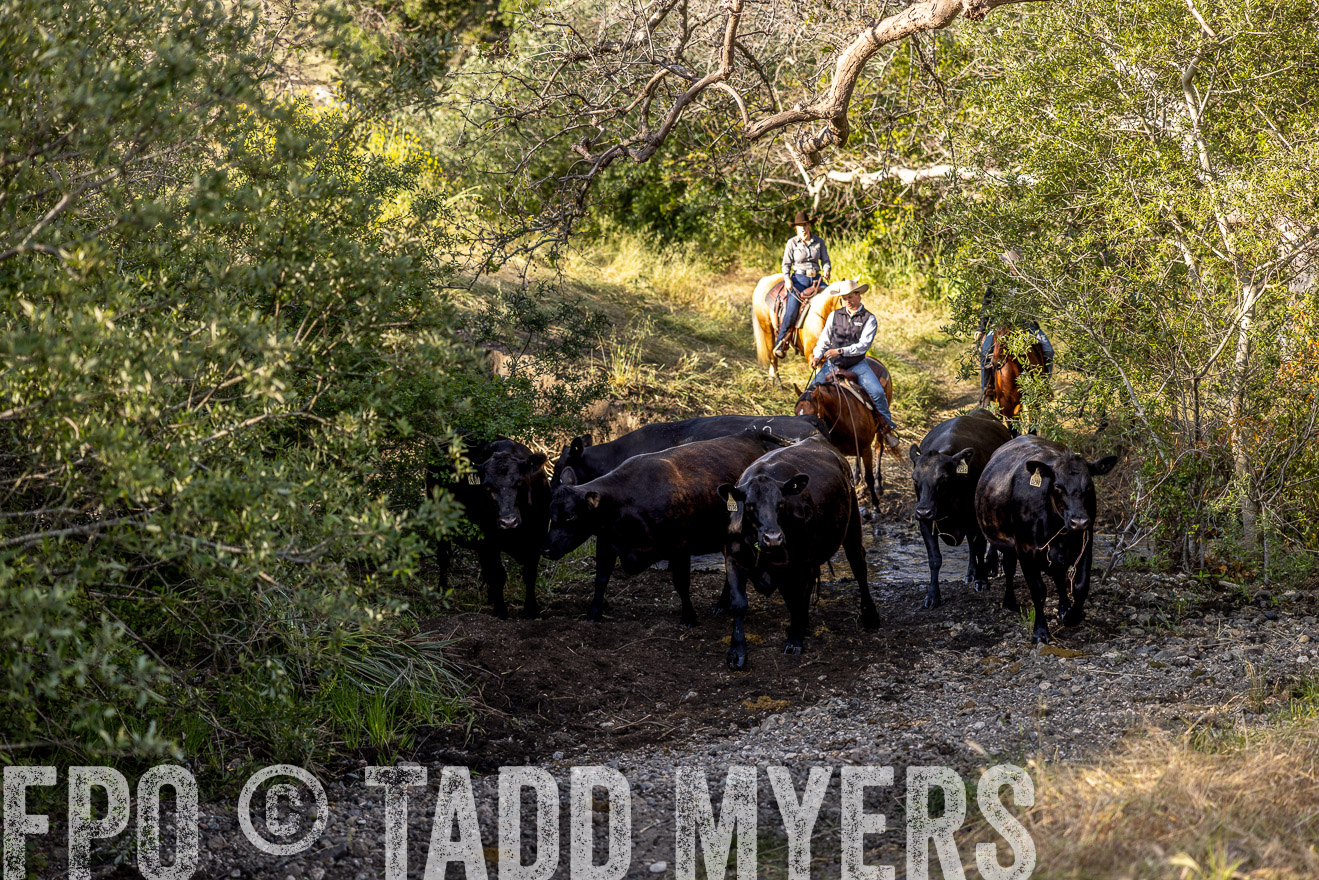 TMyers_CalPoly_CA_May2023-528878