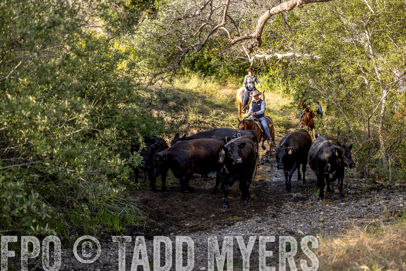TMyers_CalPoly_CA_May2023-528883