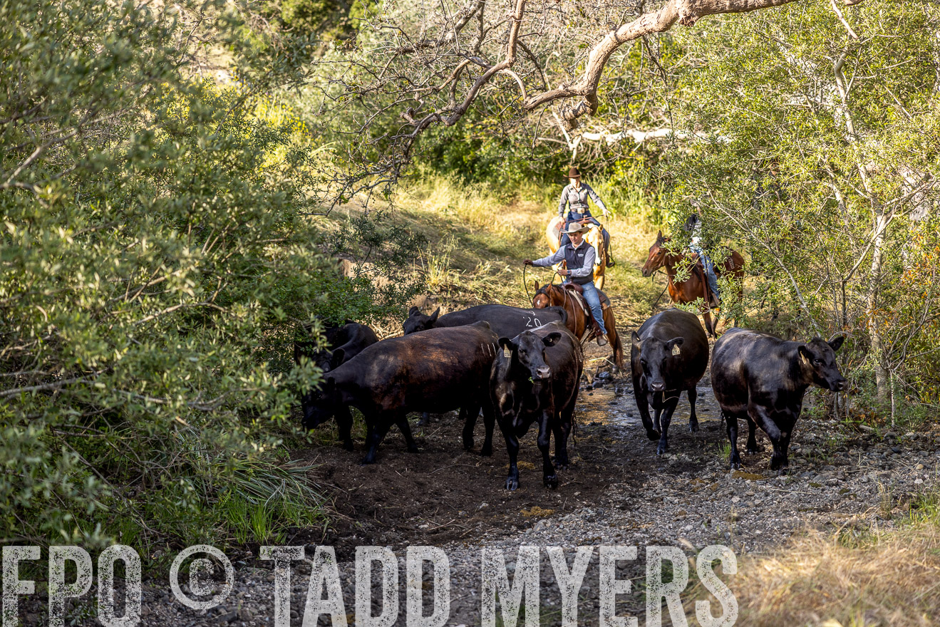 TMyers_CalPoly_CA_May2023-528886
