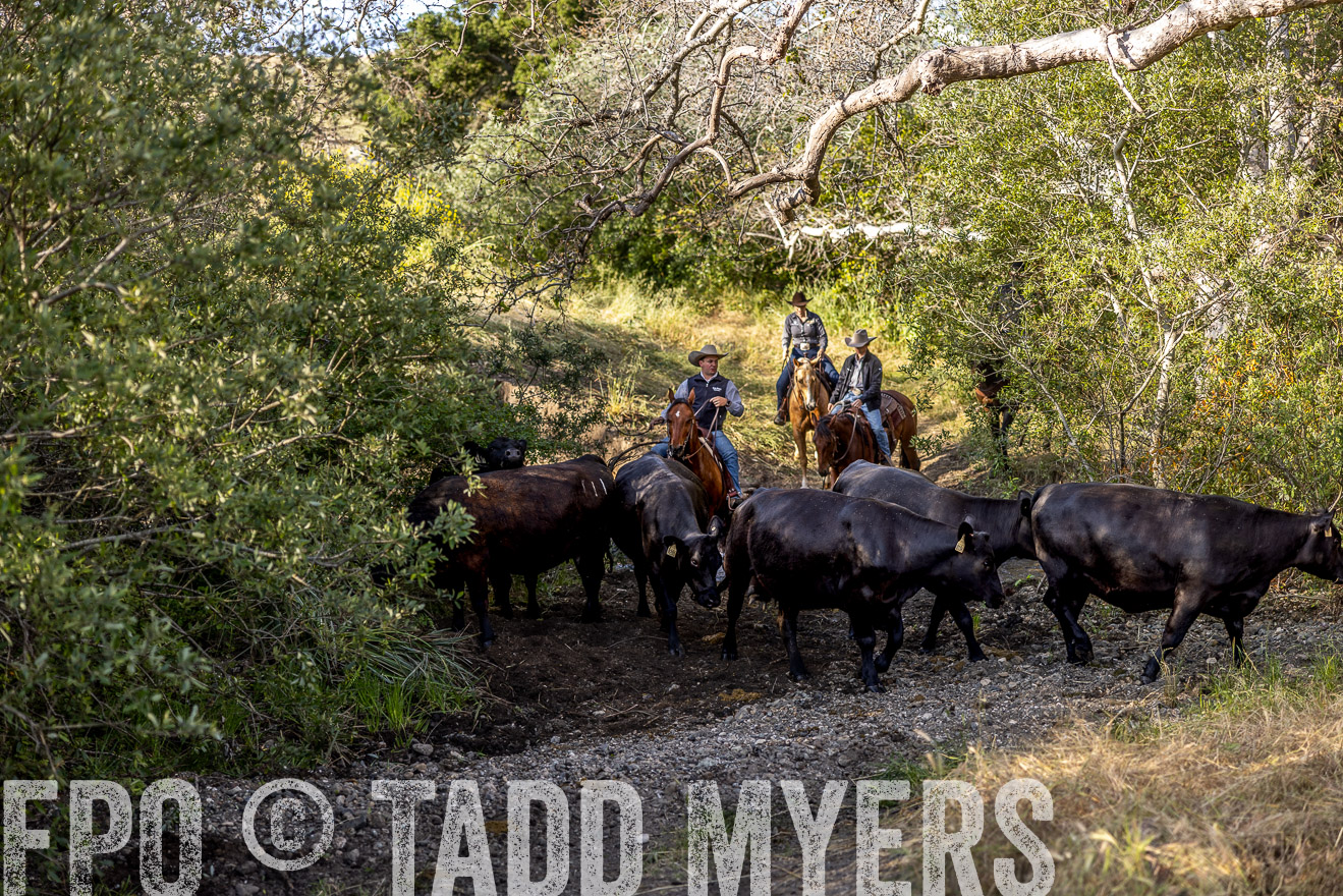 TMyers_CalPoly_CA_May2023-528892