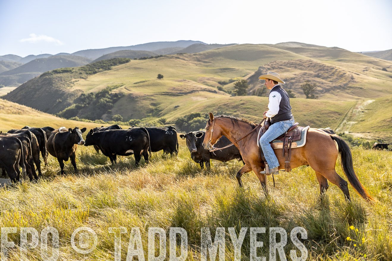 TMyers_CalPoly_CA_May2023-529751