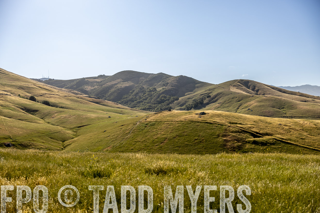 TMyers_CalPoly_CA_May2023-520092