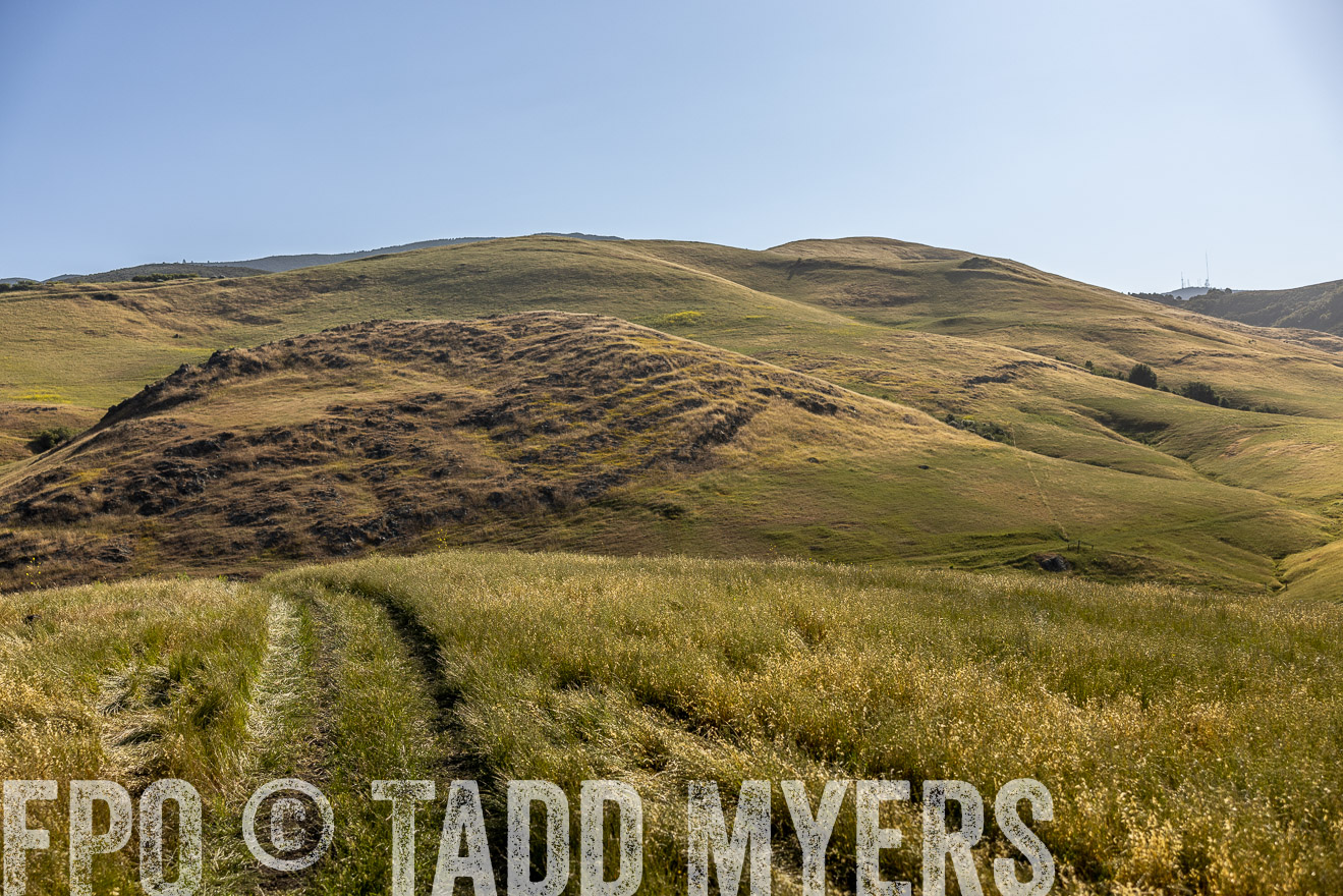 TMyers_CalPoly_CA_May2023-520100