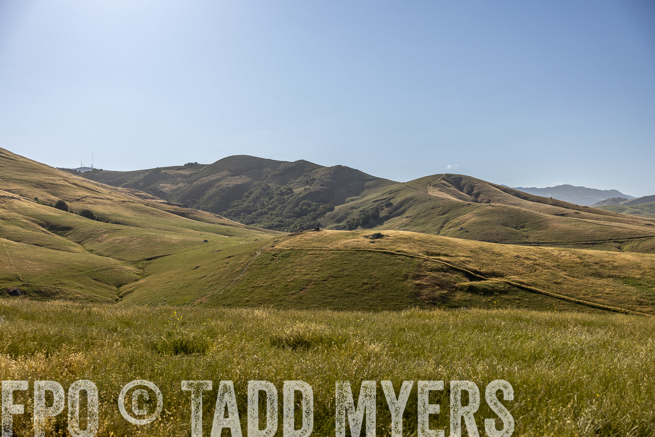TMyers_CalPoly_CA_May2023-520107