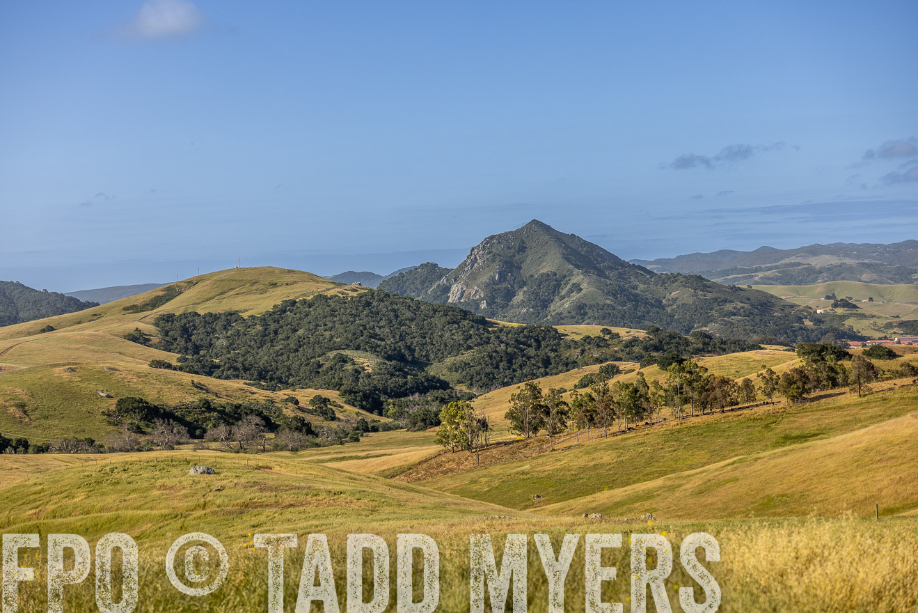 TMyers_CalPoly_CA_May2023-520149