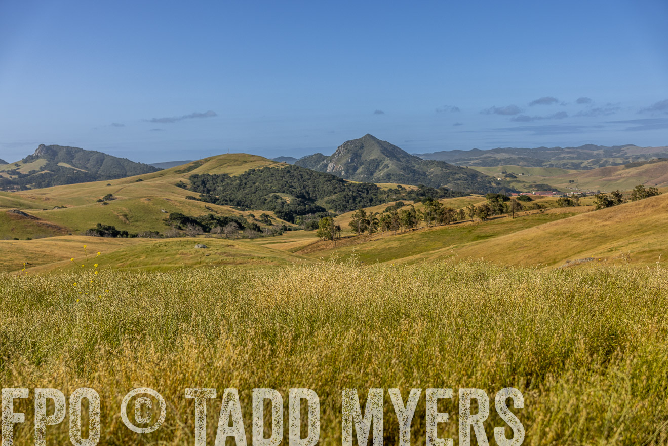 TMyers_CalPoly_CA_May2023-520160