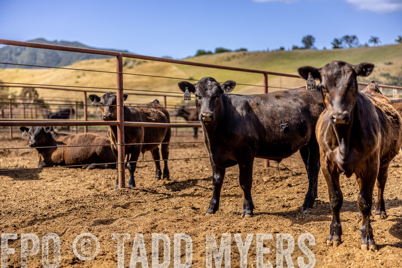 TMyers_CalPoly_CA_May2023-520245
