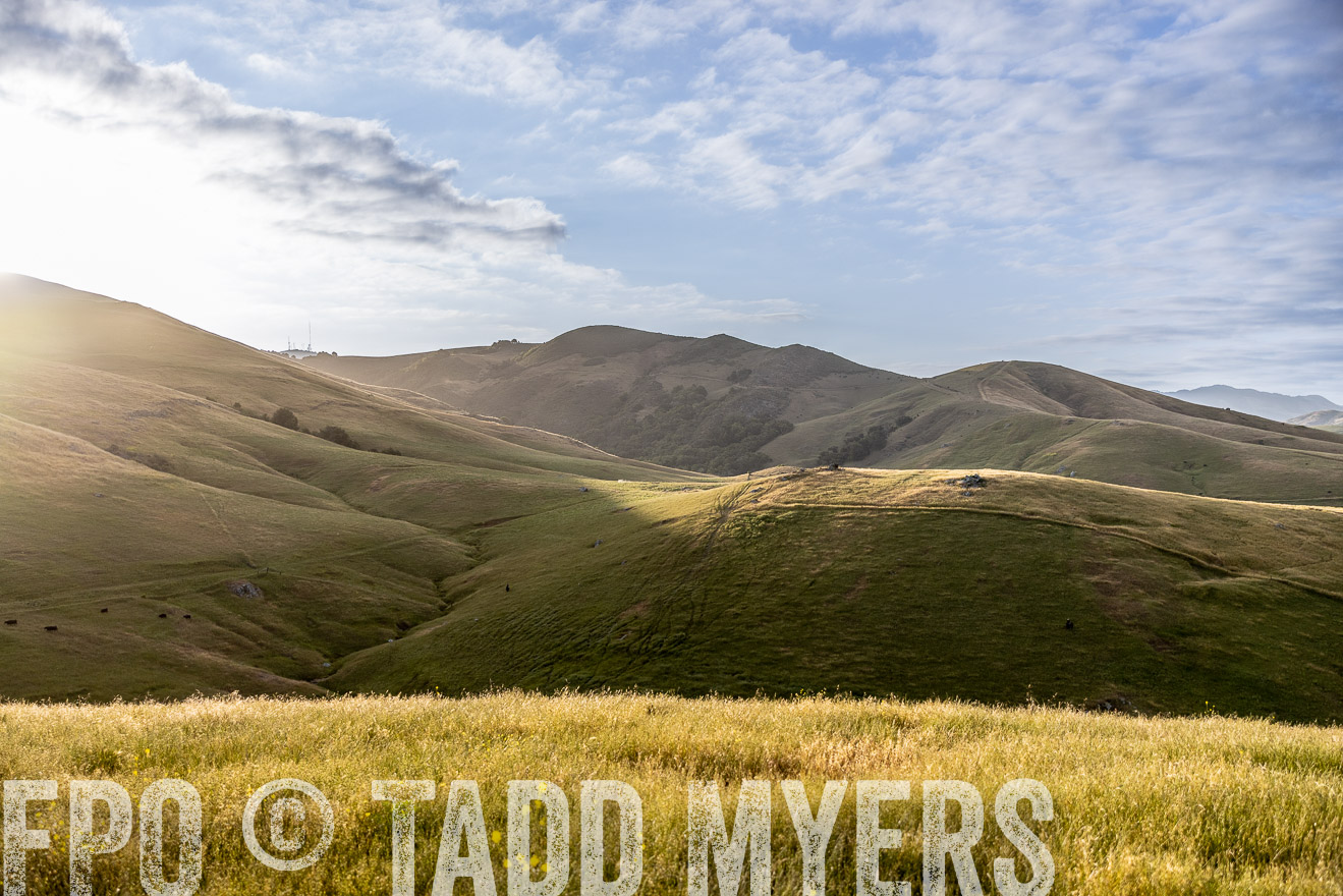 TMyers_CalPoly_CA_May2023-526209