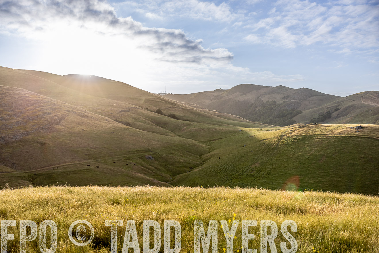 TMyers_CalPoly_CA_May2023-526218