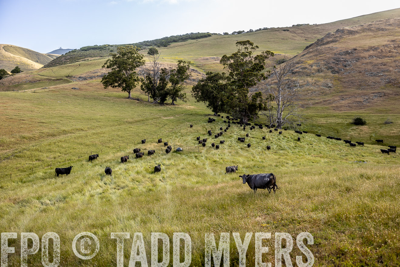 TMyers_CalPoly_CA_May2023-526317