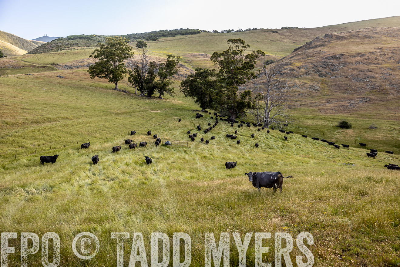 TMyers_CalPoly_CA_May2023-526326