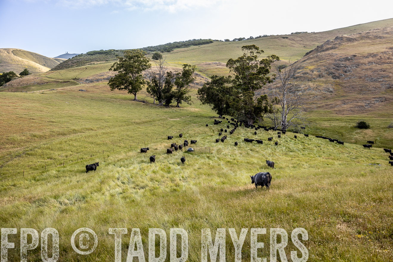 TMyers_CalPoly_CA_May2023-526360