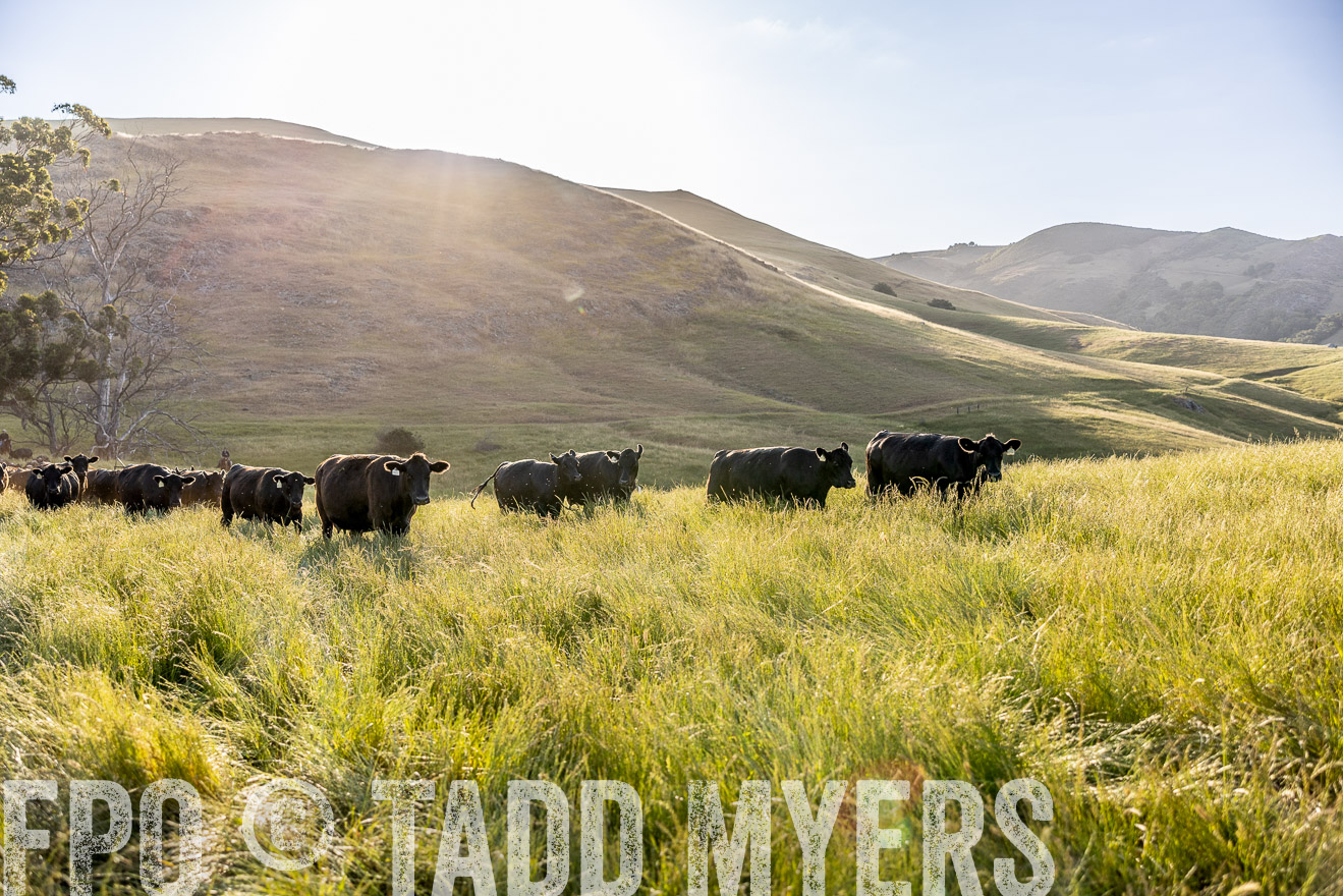 TMyers_CalPoly_CA_May2023-526810