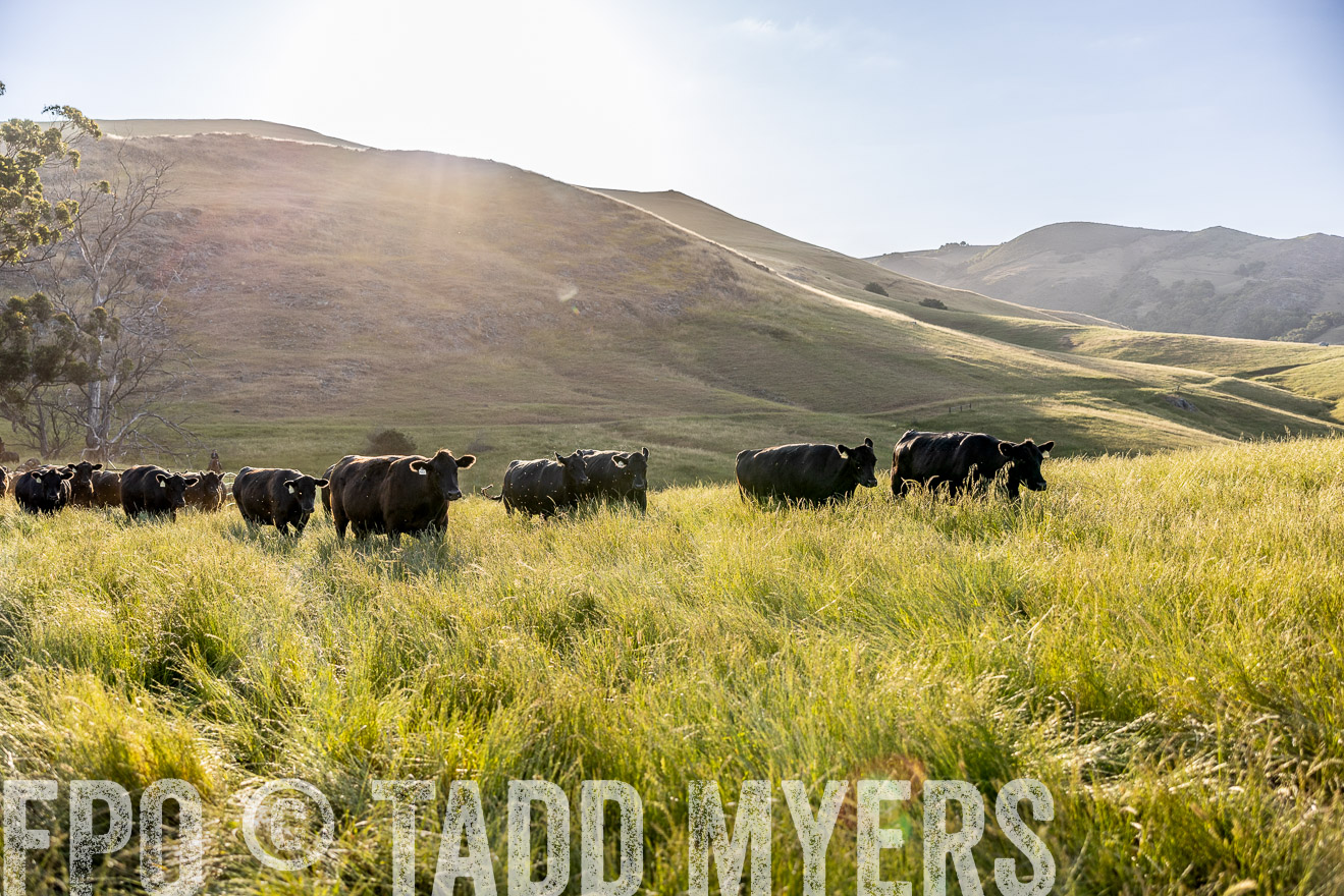 TMyers_CalPoly_CA_May2023-526816