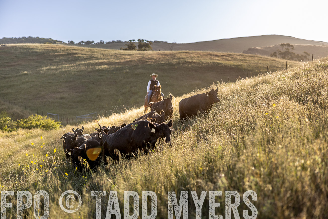 TMyers_CalPoly_CA_May2023-527142