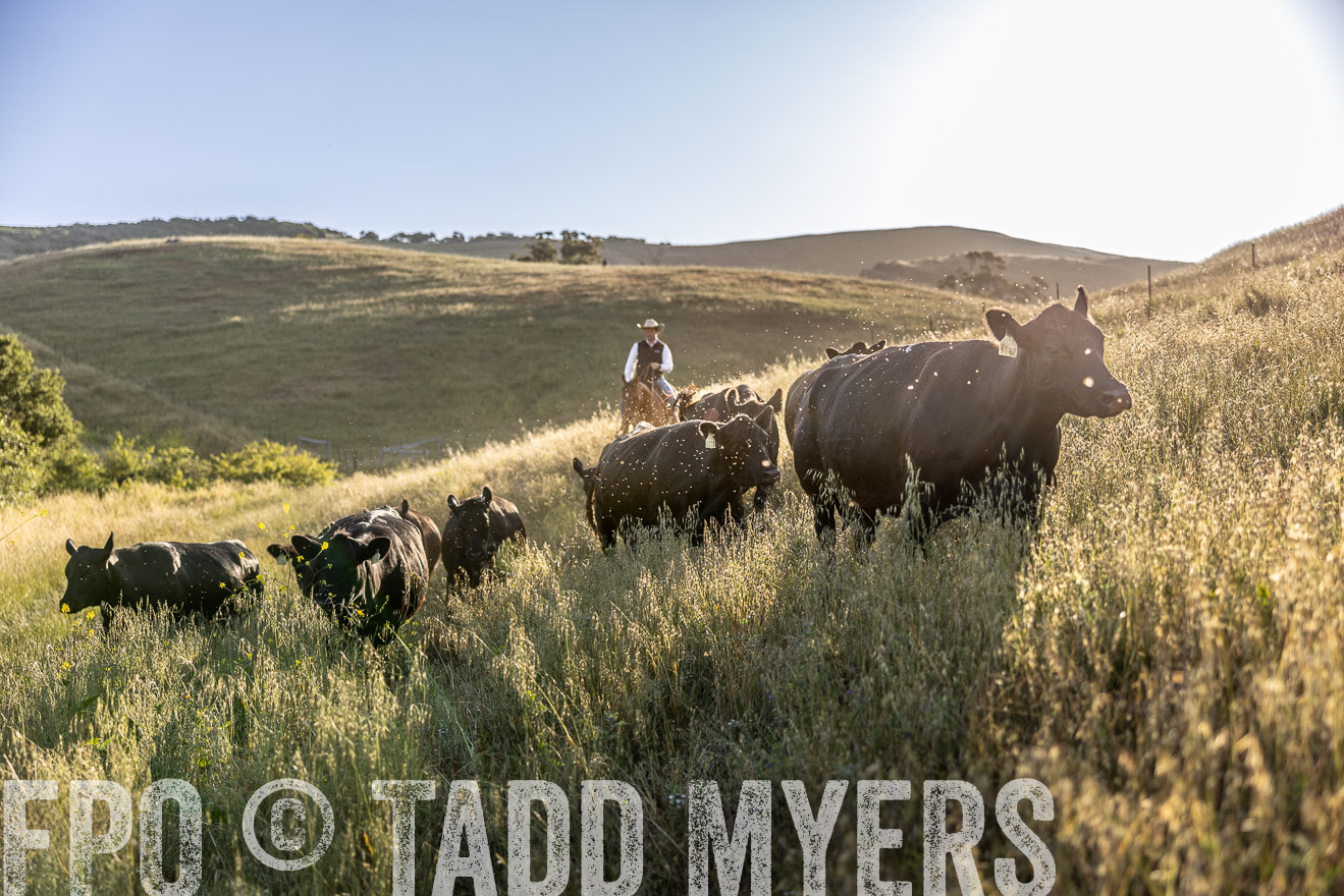TMyers_CalPoly_CA_May2023-527171