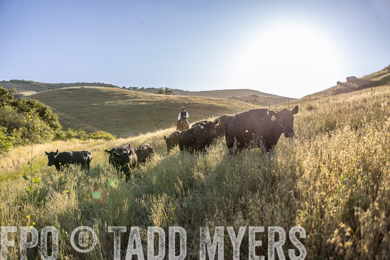 TMyers_CalPoly_CA_May2023-527176