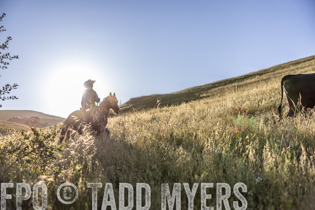 TMyers_CalPoly_CA_May2023-527228