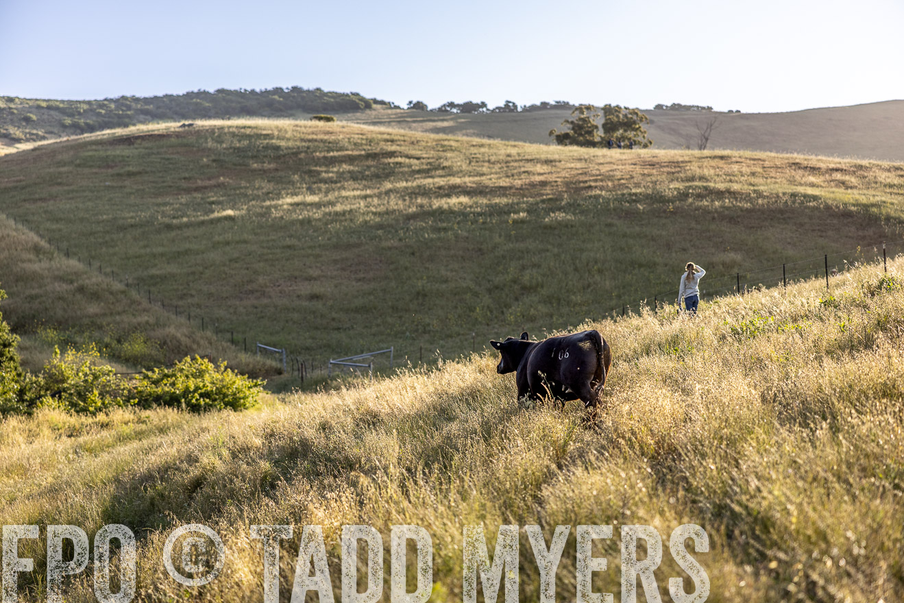 TMyers_CalPoly_CA_May2023-527349
