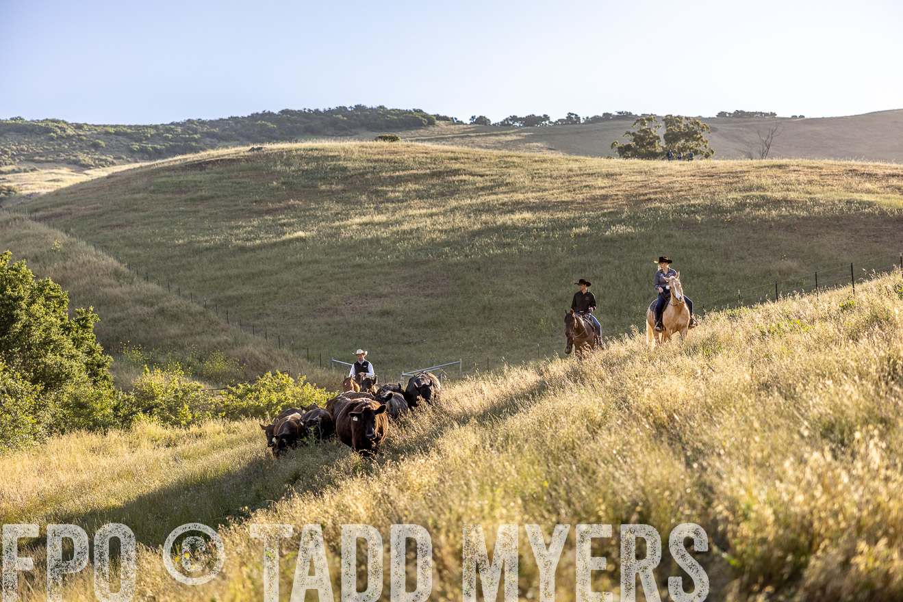 TMyers_CalPoly_CA_May2023-527407