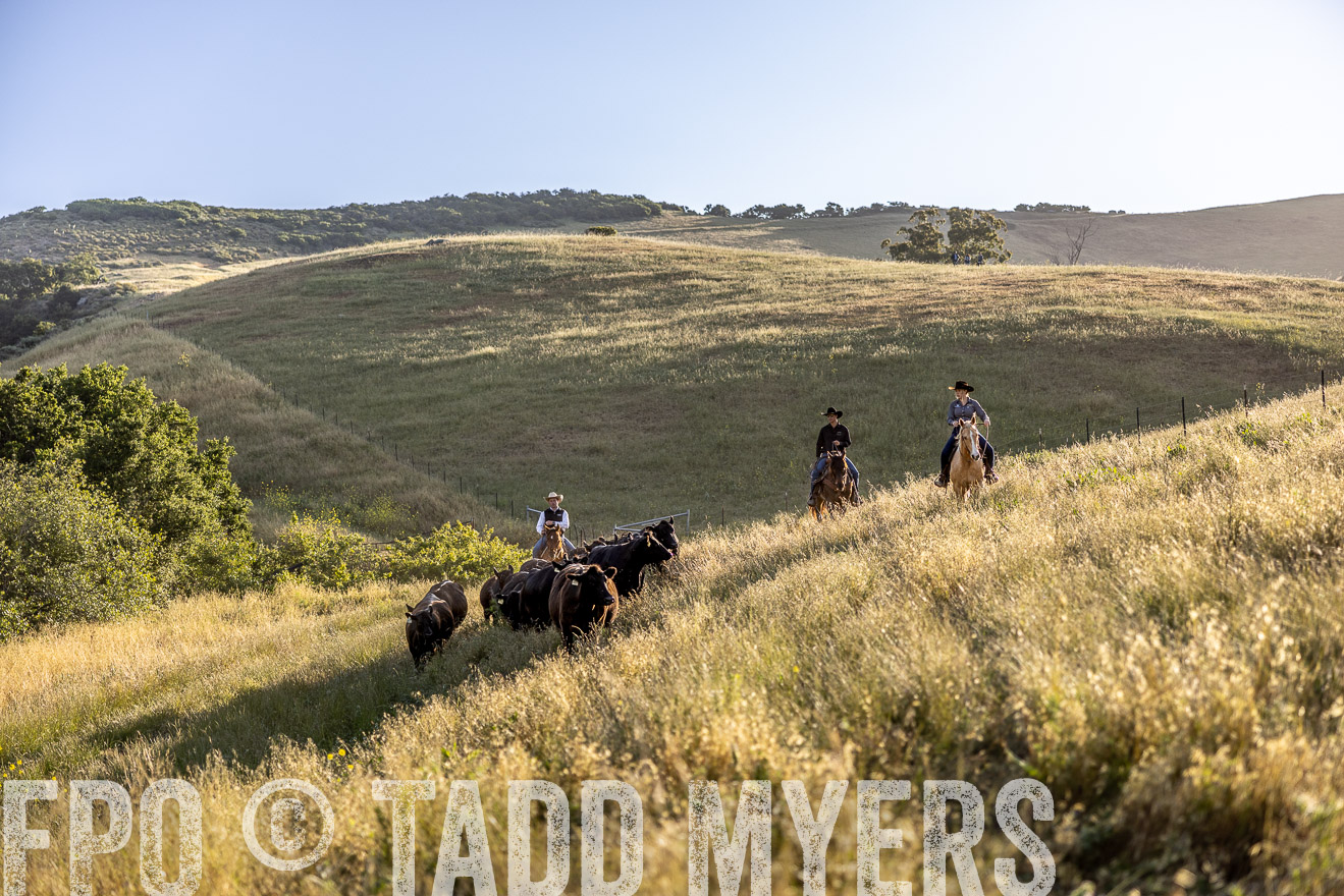 TMyers_CalPoly_CA_May2023-527429