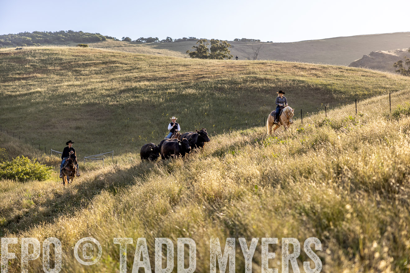 TMyers_CalPoly_CA_May2023-527651
