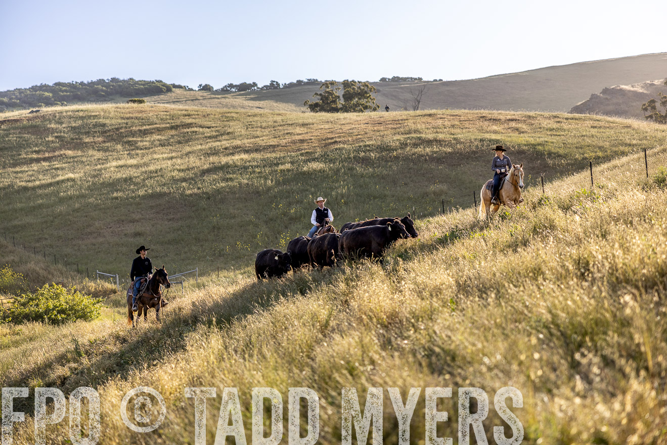 TMyers_CalPoly_CA_May2023-527653