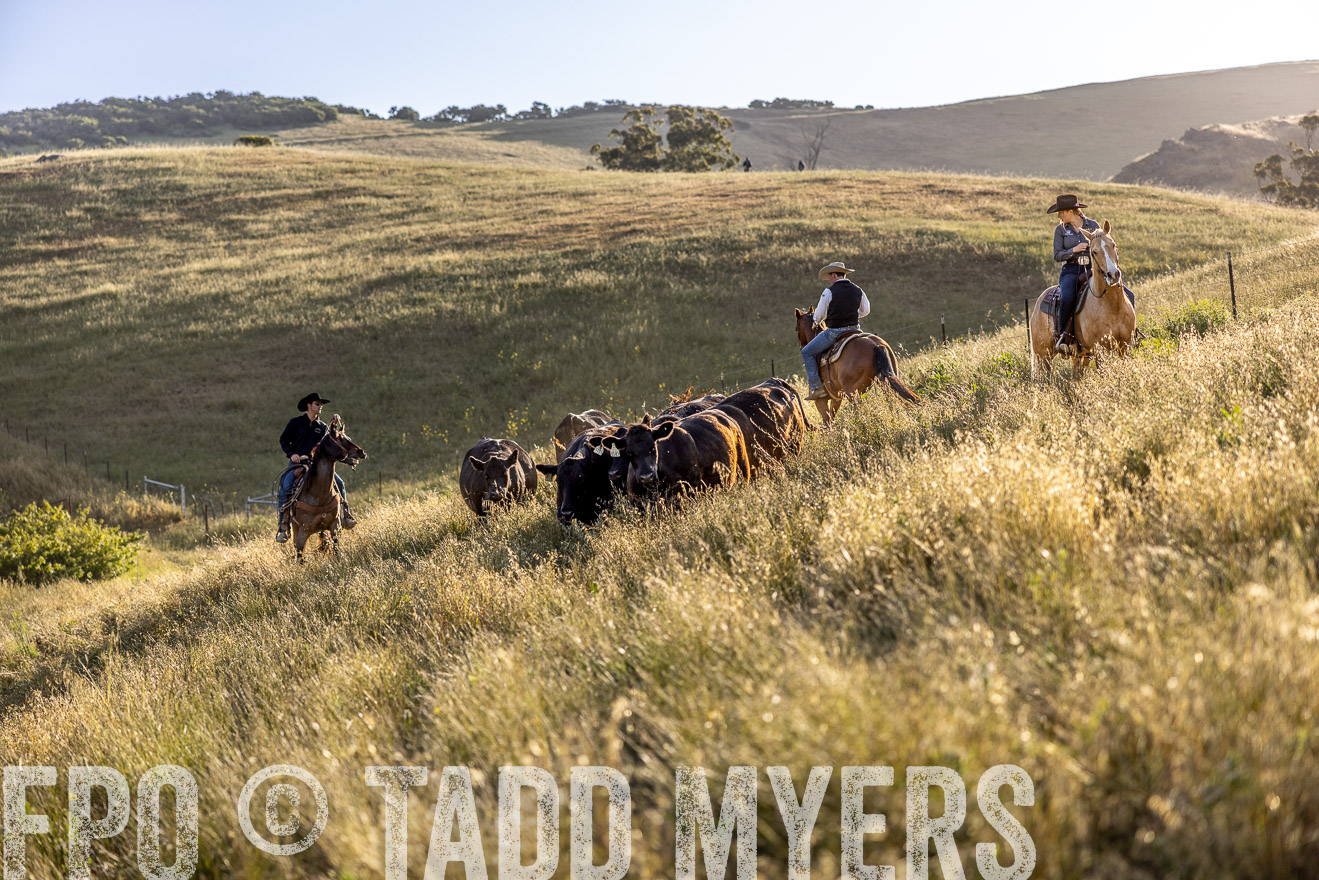 TMyers_CalPoly_CA_May2023-527664