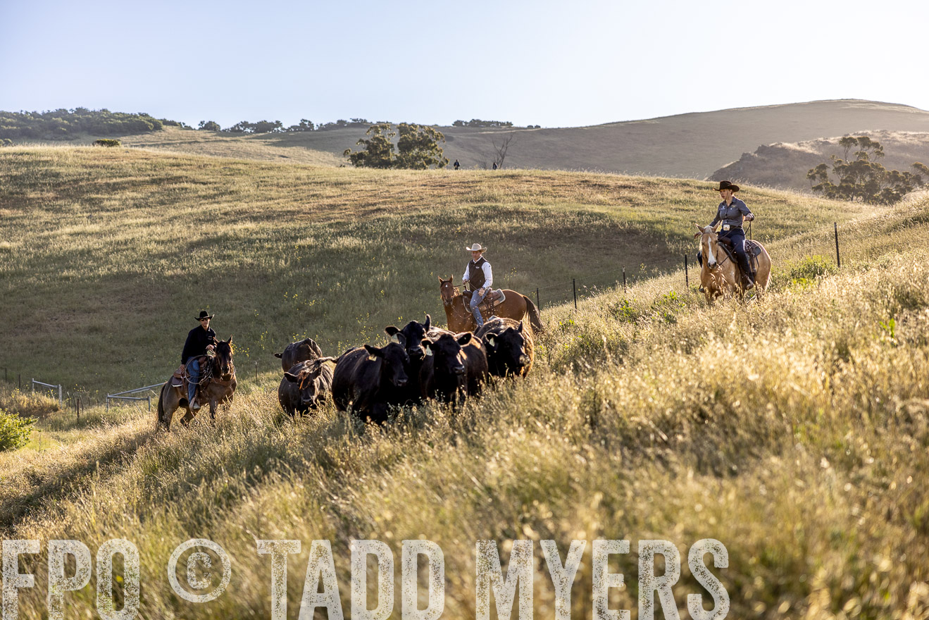 TMyers_CalPoly_CA_May2023-527671