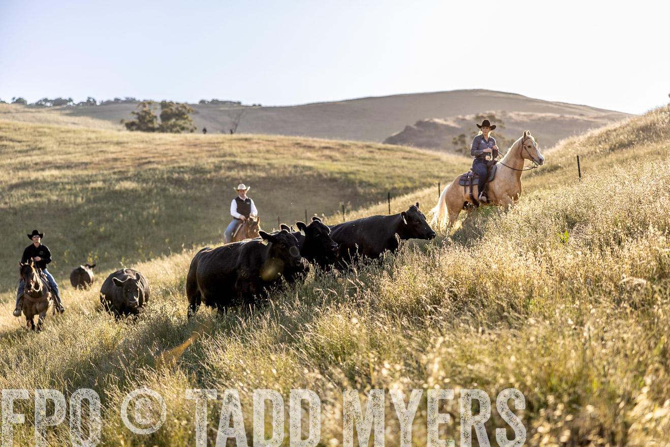 TMyers_CalPoly_CA_May2023-527676
