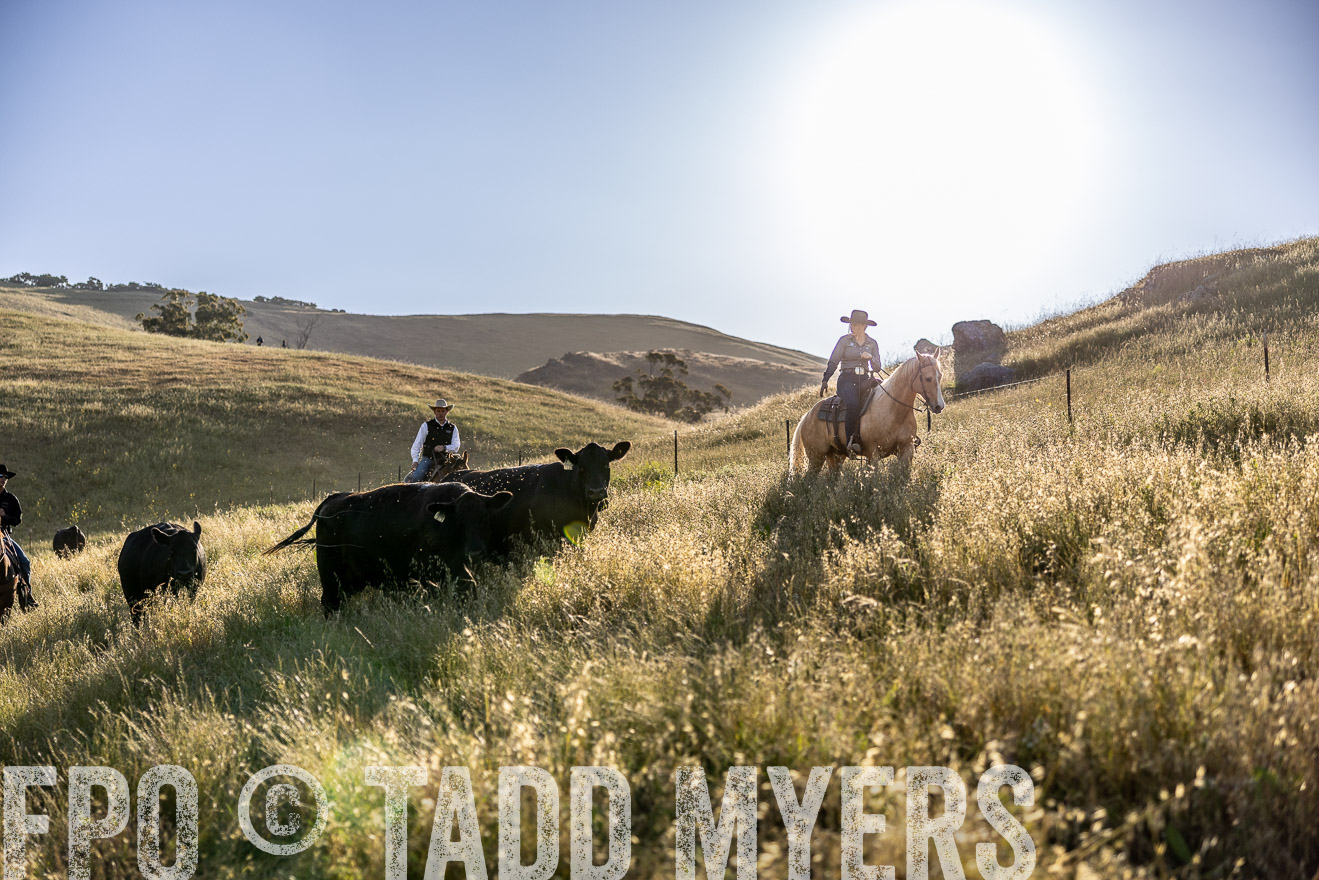 TMyers_CalPoly_CA_May2023-527709