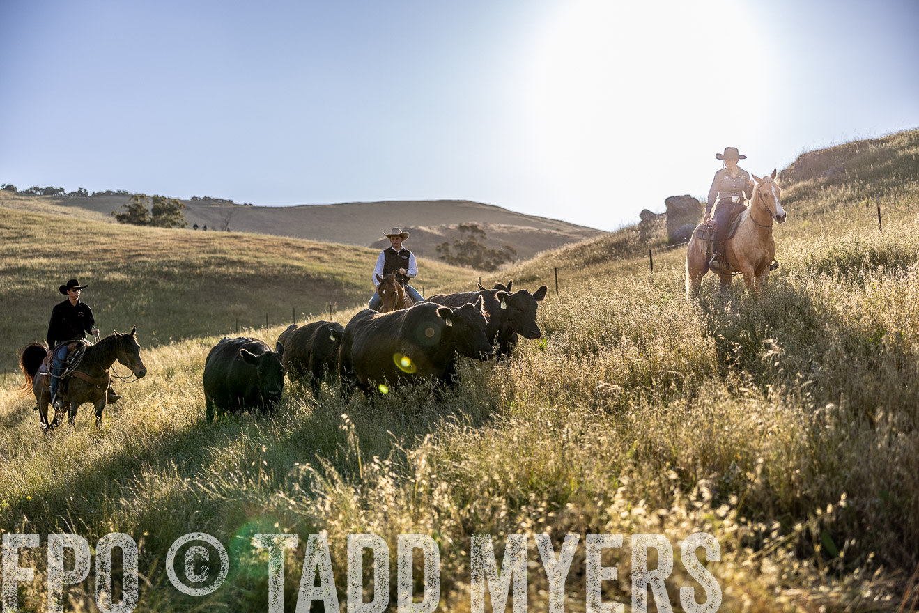 TMyers_CalPoly_CA_May2023-527752