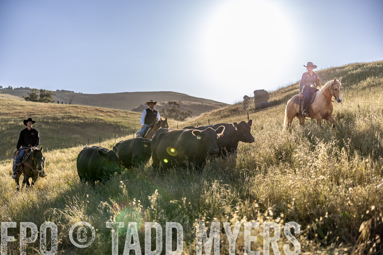TMyers_CalPoly_CA_May2023-527773