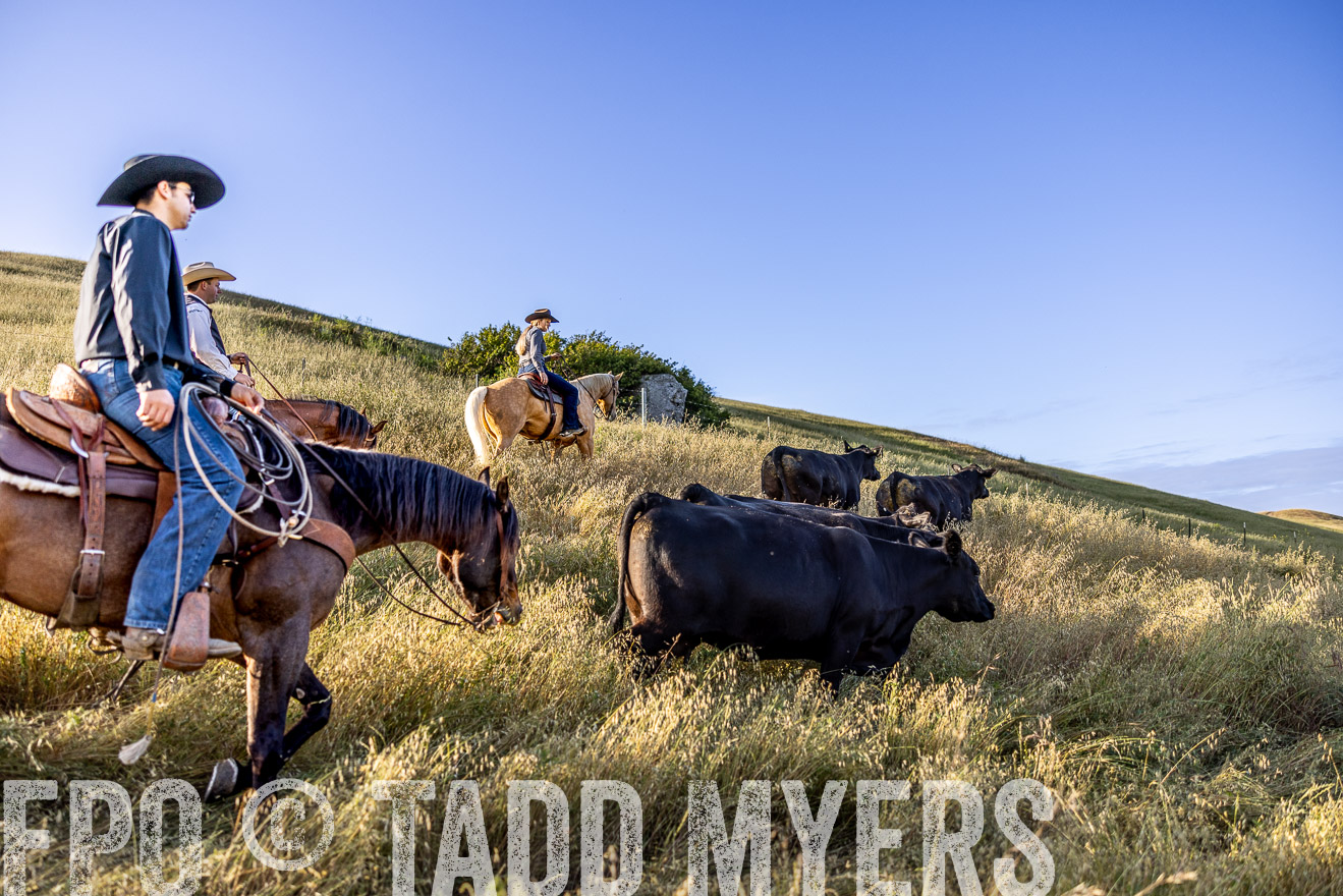 TMyers_CalPoly_CA_May2023-527852
